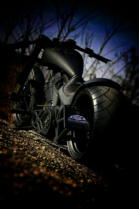 Harley Bobber
